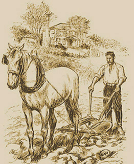 photo_farmer1_1.jpg